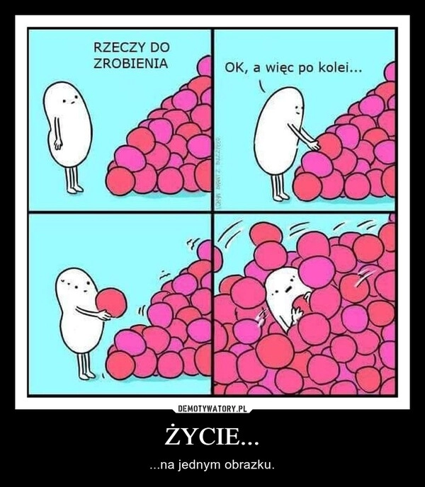 
    ŻYCIE...