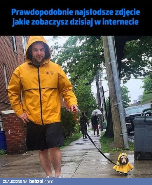 
    Najsłodsze zdjęcie w internecie