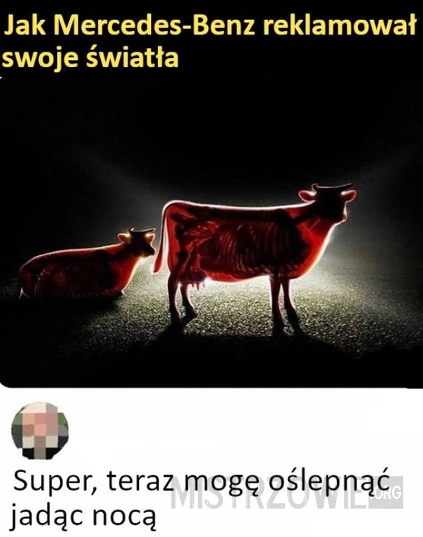 
    
			Światła					