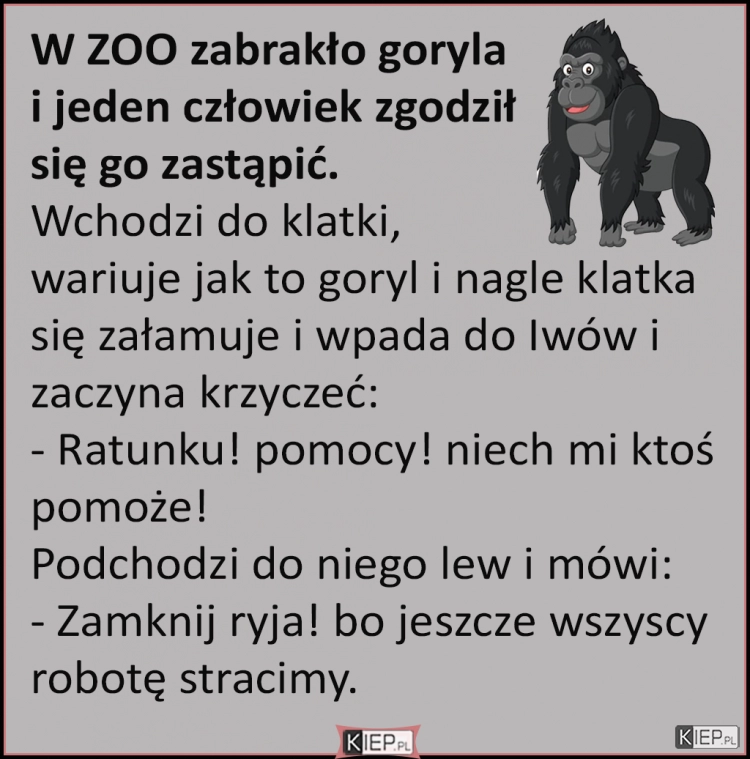 
    W ZOO zabrakło goryla i jeden człowiek zgodził się go zastąpić...