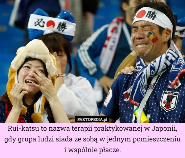 
    Rui-katsu to nazwa terapii praktykowanej w Japonii, gdy grupa ludzi siada