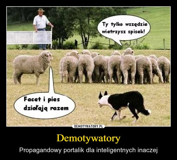 
    Demotywatory