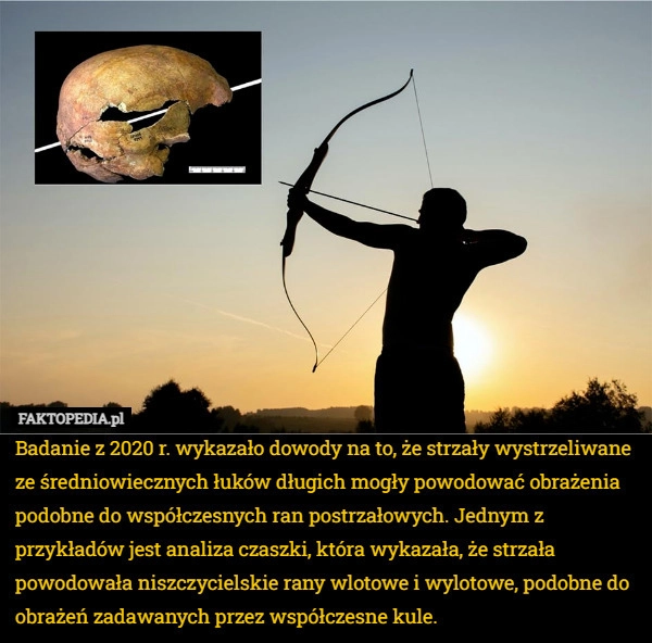 
    Badanie z 2020 r. wykazało dowody na to, że strzały wystrzeliwane ze średniowiecznych