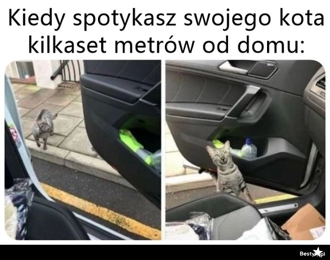 
    Będzie miał podwózkę 