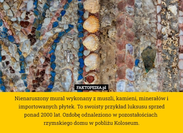 
    Nienaruszony mural wykonany z muszli, kamieni, minerałów i importowanych