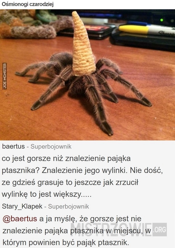 
    Ośmionogi czarodziej