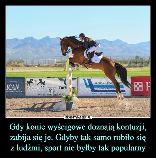 
    Gdy konie wyścigowe doznają kontuzji, zabija się je. Gdyby tak samo robiło się
z ludźmi, sport nie byłby tak popularny