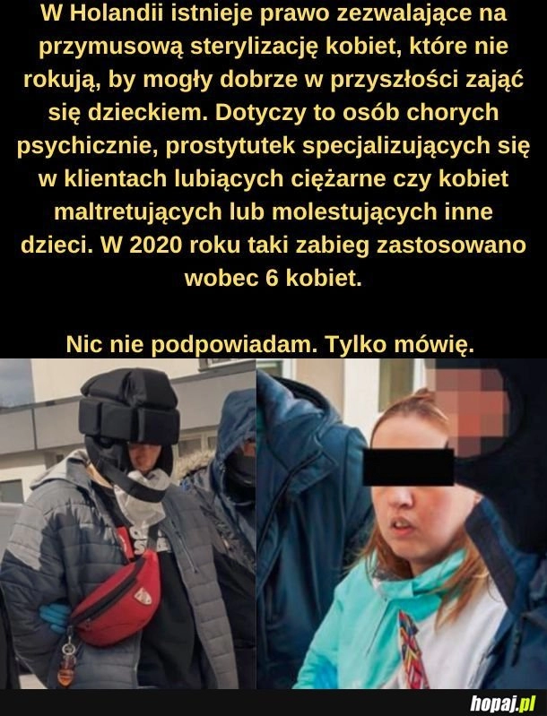 
    Ta Holandia to ma łeb! 