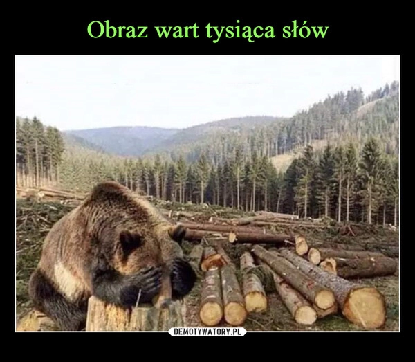 
    Obraz wart tysiąca słów