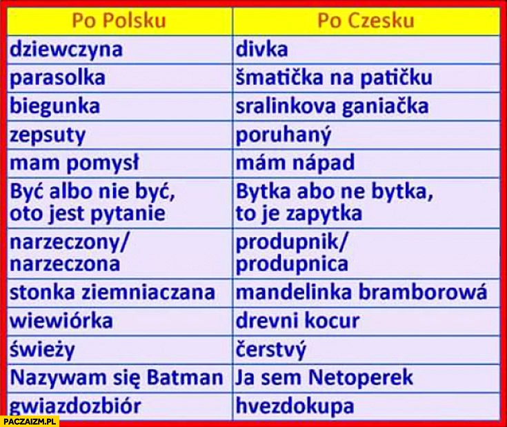 
    Słowa po polsku po czesku fail