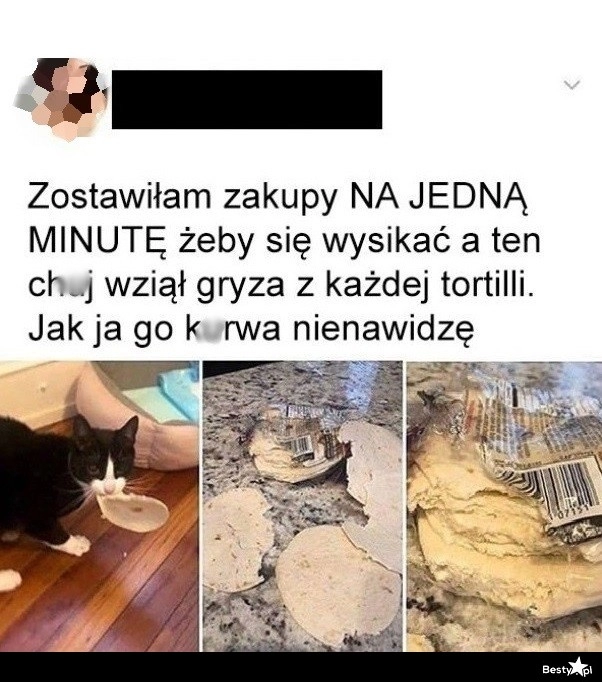 
    Zakupy zostawione bez nadzoru 