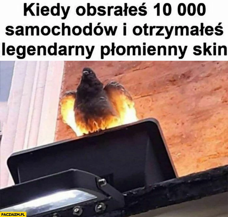 
    Gołąb kiedy obsrałeś 10 tysięcy samochodów i otrzymałeś legendarny płomienny skin