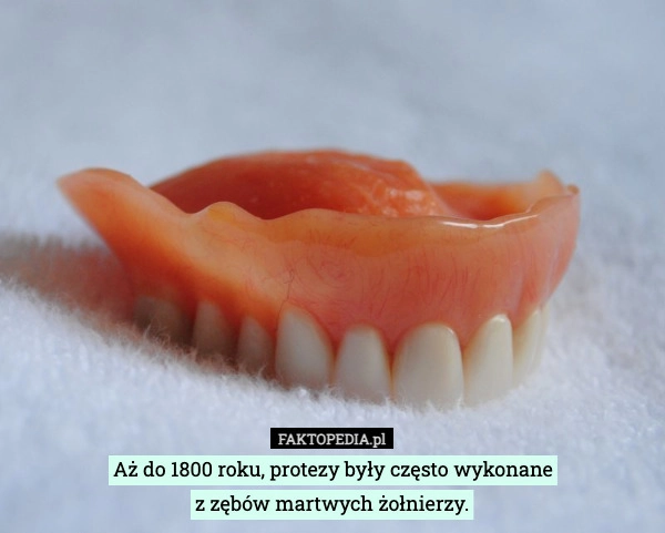 
    Aż do 1800 roku, protezy były często wykonane
z zębów martwych żołnierzy.