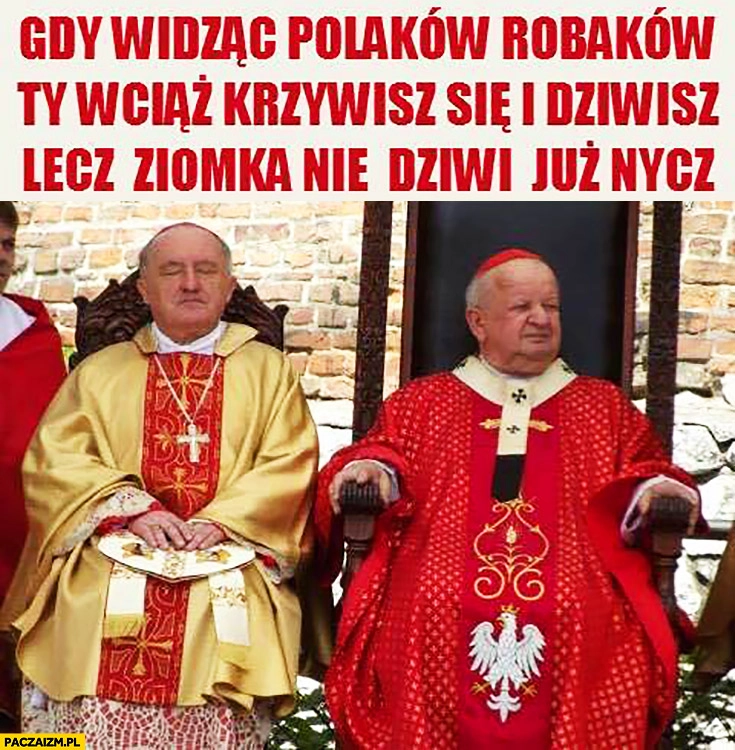 
    Gdy widząc Polaków robaków Ty wciąż krzywisz się i dziwisz lecz ziomka nie dziwi już nic. Księża biskup