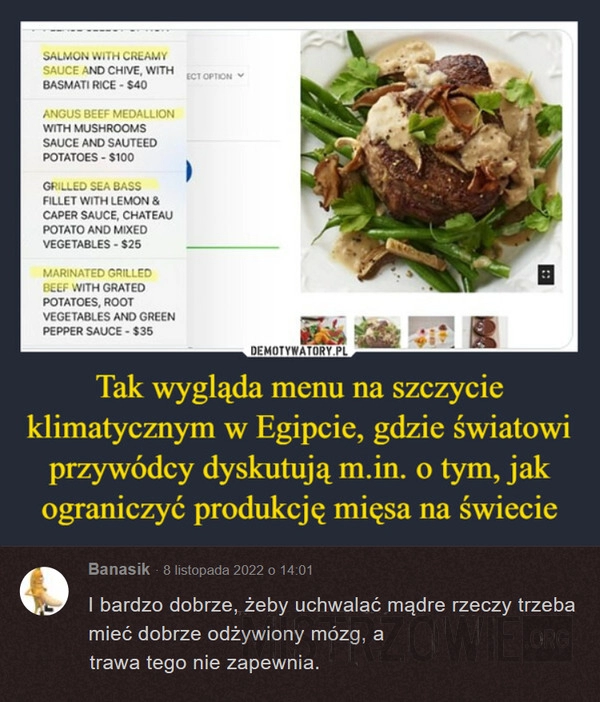 
    Szczyt klimatyczny