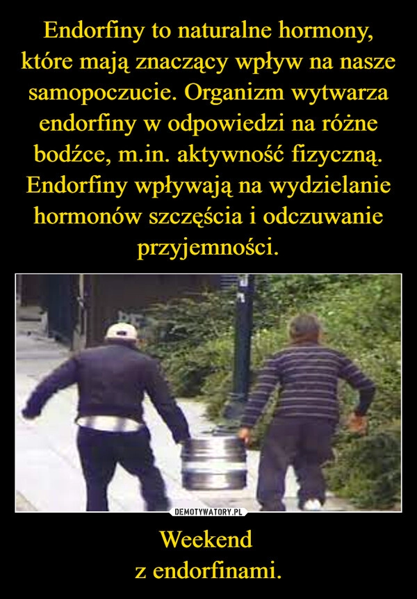 
    Endorfiny to naturalne hormony, które mają znaczący wpływ na nasze samopoczucie. Organizm wytwarza endorfiny w odpowiedzi na różne bodźce, m.in. aktywność fizyczną.
Endorfiny wpływają na wydzielanie hormonów szczęścia i odczuwanie przyjemności. Weekend 
z endorfinami.