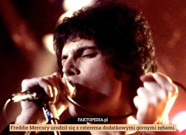 
    Freddie Mercury urodził się z czterema dodatkowymi górnymi zębami.