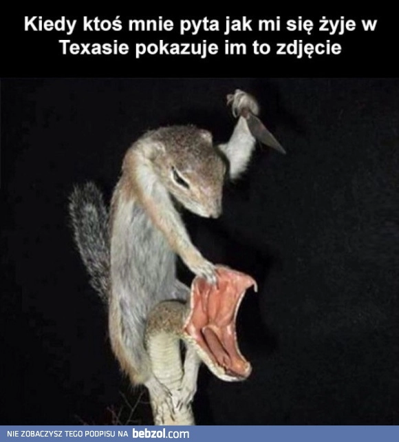 
    Gdy ktoś pyta 