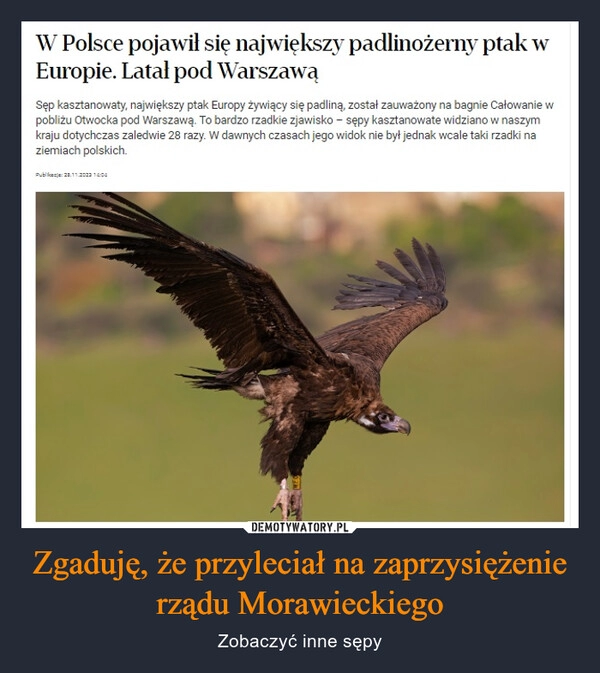 
    Zgaduję, że przyleciał na zaprzysiężenie rządu Morawieckiego