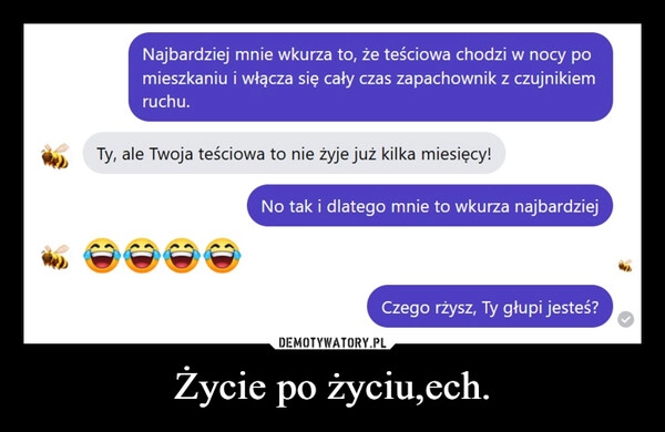 
    Życie po życiu,ech.