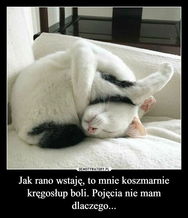 
    Jak rano wstaję, to mnie koszmarnie kręgosłup boli. Pojęcia nie mam dlaczego... 