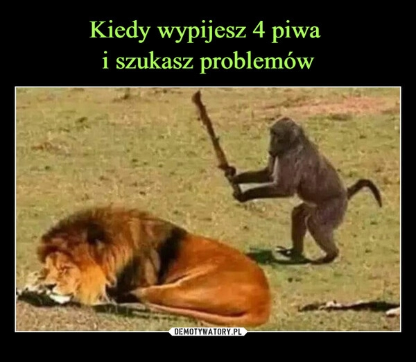 
    Kiedy wypijesz 4 piwa
i szukasz problemów 