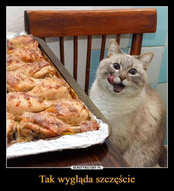 
    Tak wygląda szczęście