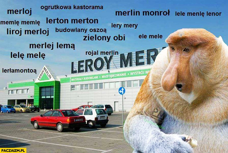 
    Leroy Merlin wymowa nazwy typowy Polak nosacz