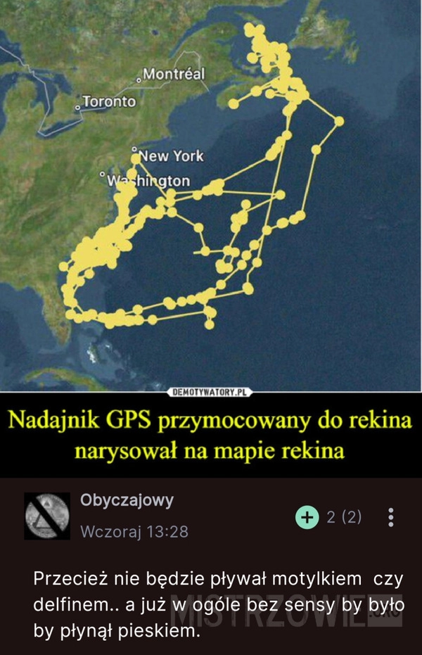 
    GPS przymocowany na rekinie