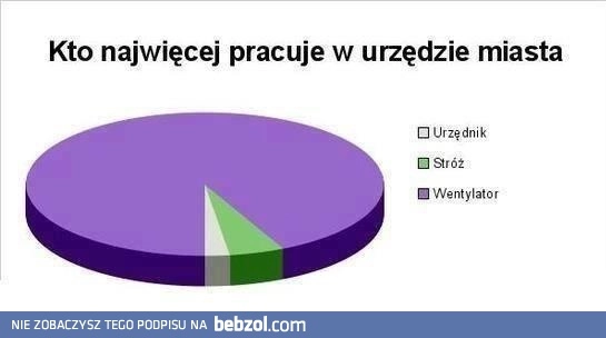 Urząd miasta