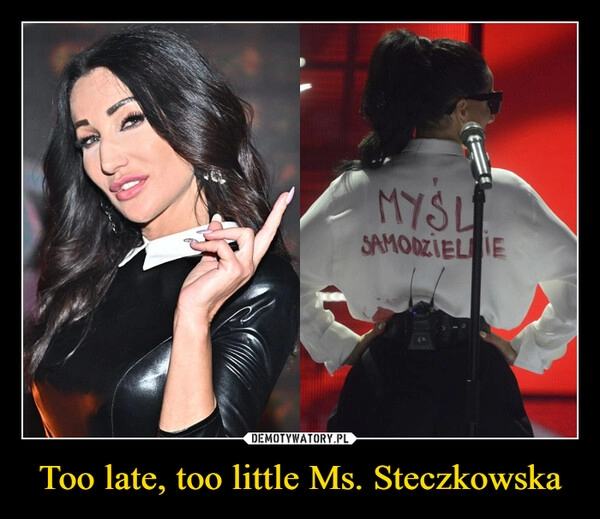 
    Too late, too little Ms. Steczkowska