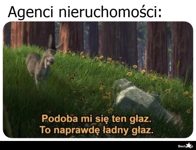 
    Agenci nieruchomości 