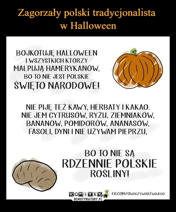 
    
Zagorzały polski tradycjonalista
w Halloween 