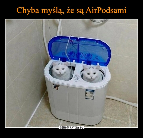 
    Chyba myślą, że są AirPodsami