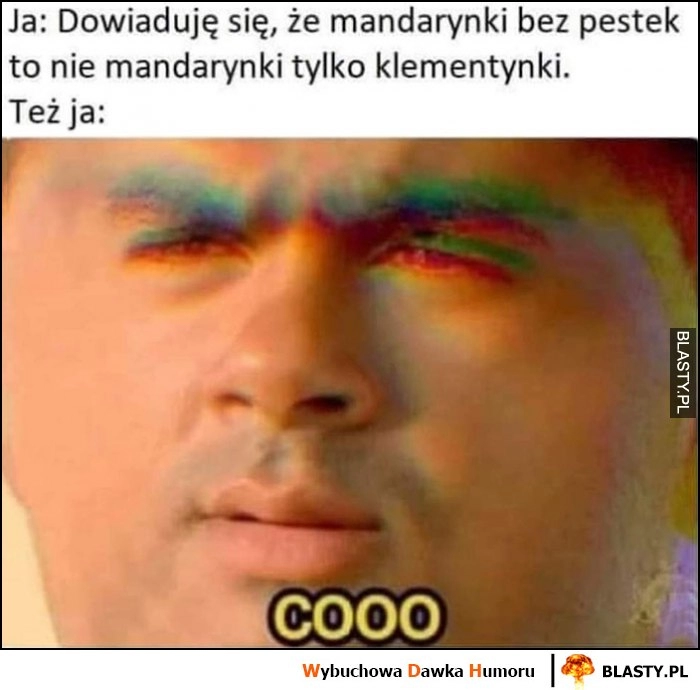 
    Ja: Dowiaduję się, że mandarynki bez pestek to nie mandarynki tylko klementynki, też ja: cooo