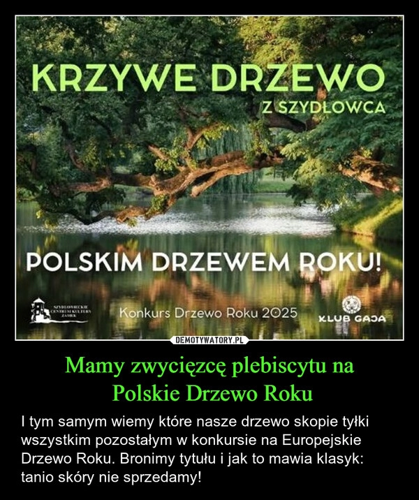
    Mamy zwycięzcę plebiscytu na
 Polskie Drzewo Roku