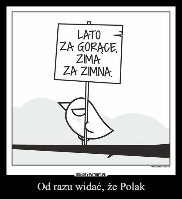 
    Od razu widać, że Polak