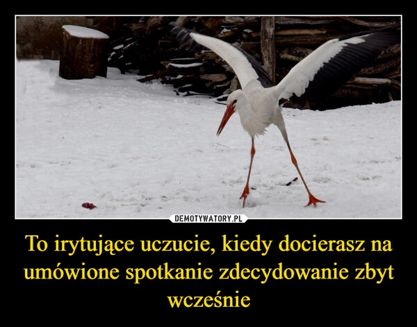 
    To irytujące uczucie, kiedy docierasz na umówione spotkanie zdecydowanie zbyt wcześnie