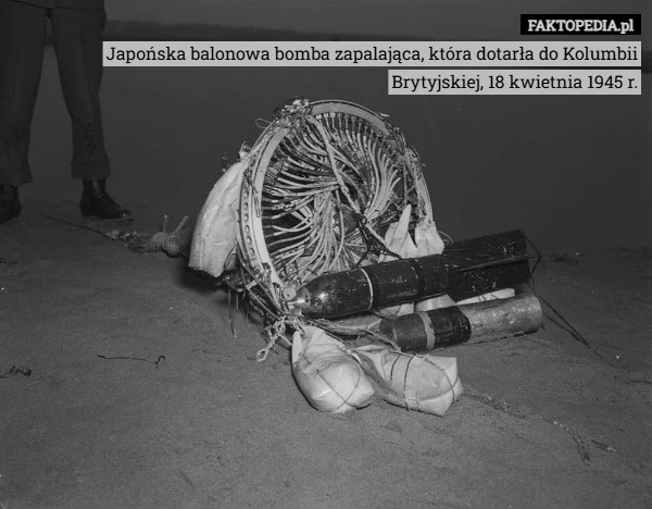 
    Japońska balonowa bomba zapalająca, która dotarła do Kolumbii Brytyjskiej,