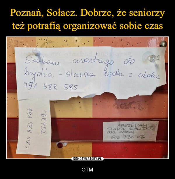 
    Poznań, Sołacz. Dobrze, że seniorzy też potrafią organizować sobie czas