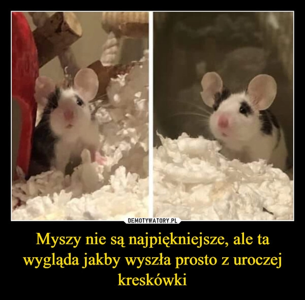 
    
Myszy nie są najpiękniejsze, ale ta wygląda jakby wyszła prosto z uroczej kreskówki 