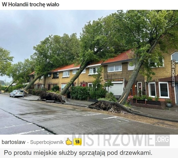 
    W Holandii trochę wiało