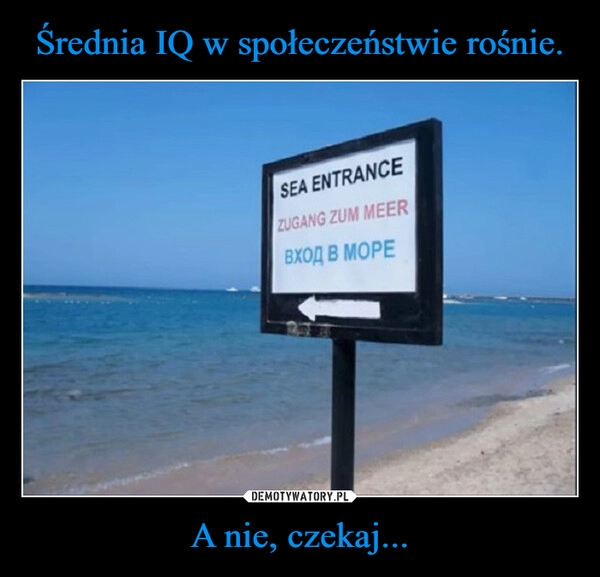 
    Średnia IQ w społeczeństwie rośnie. A nie, czekaj...