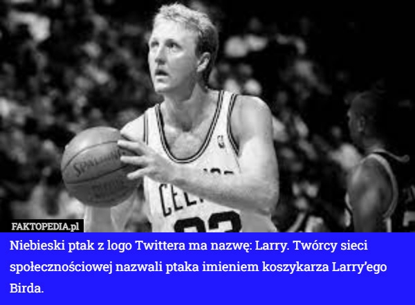 
    Niebieski ptak z logo Twittera ma nazwę: Larry. Twórcy sieci społecznościowej