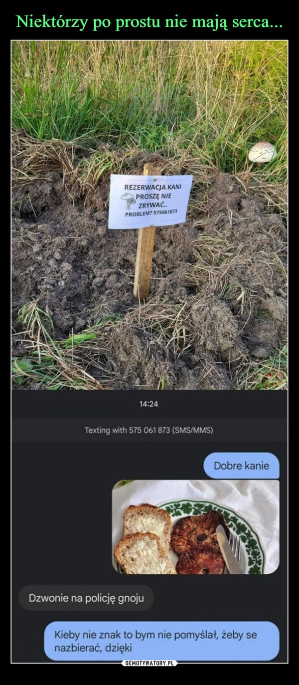 
    Niektórzy po prostu nie mają serca...