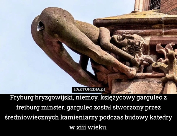 
    Fryburg bryzgowijski, niemcy. księżycowy gargulec z freiburg minster. gargulec