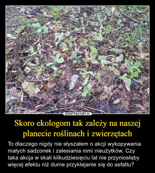 
    Skoro ekologom tak zależy na naszej planecie roślinach i zwierzętach