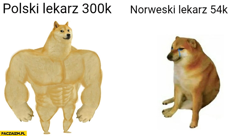 
    Polski lekarz 300k vs Norweski lekarz 54k pies pieseł doge cheems