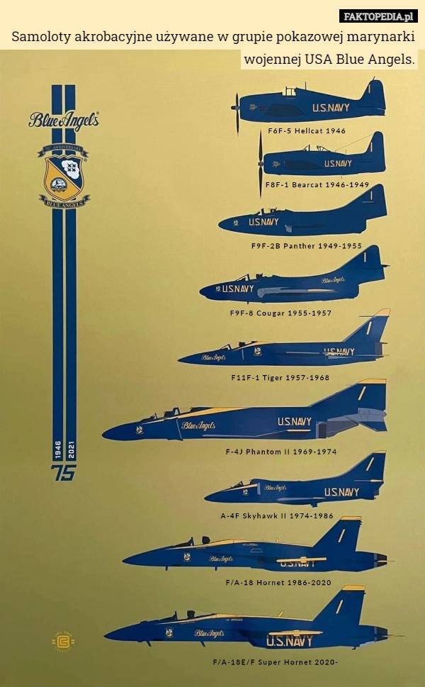 
    Samoloty akrobacyjne używane w grupie pokazowej marynarki wojennej USA Blue