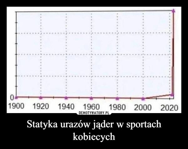 
    Statyka urazów jąder w sportach kobiecych